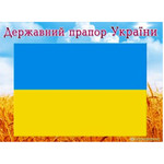 Державний прапор України  Г-446 (200*290) код 410